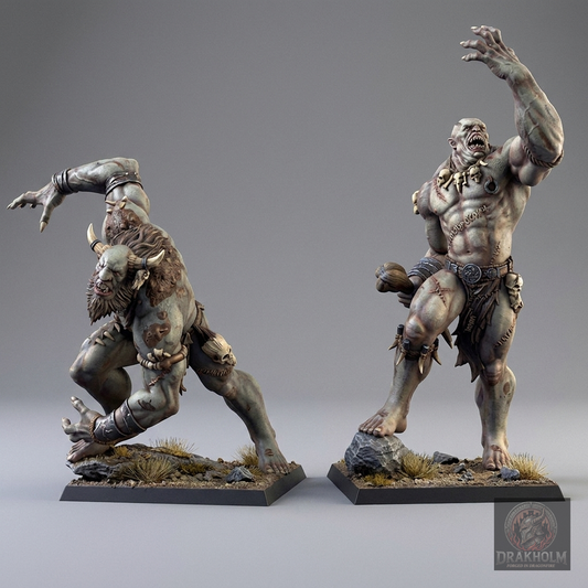 Miniatura pintada en resina 32mm - Drakholm
