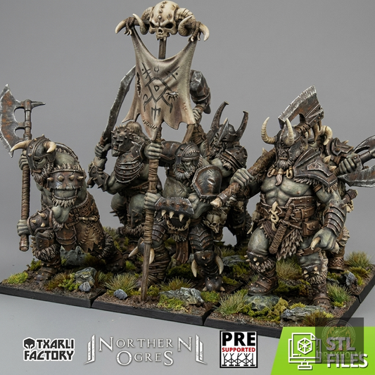 Miniatura pintada en resina 32mm - Drakholm