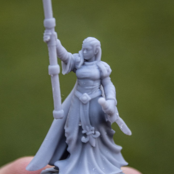 Miniatura Damisela de la Dama Bretones resina 28mm sin pintar - Drakholm