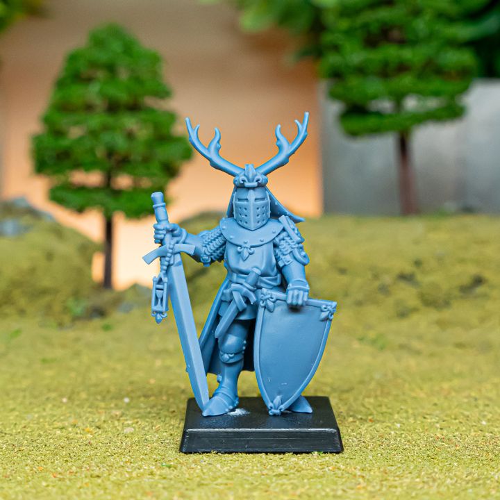 Miniatura Duque de Gallia Desmontado Bretones resina 28mm sin pintar - Drakholm