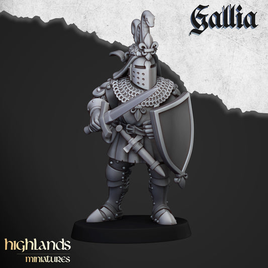 Miniatura Caballeros de Gallia Bretones resina 28mm sin pintar - Drakholm