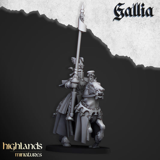 Miniatura Robert de Gallia Bretones resina 28mm sin pintar - Drakholm