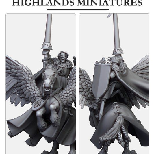 Miniatura Sir Jaume, Duque de Gallia Bretones resina 28mm sin pintar - Drakholm