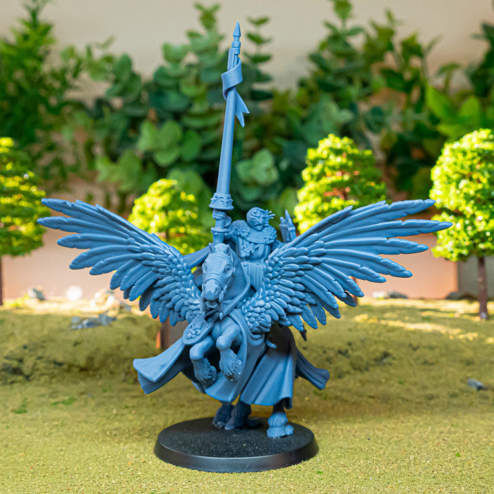 Miniatura Sir Jaume, Duque de Gallia Bretones resina 28mm sin pintar - Drakholm