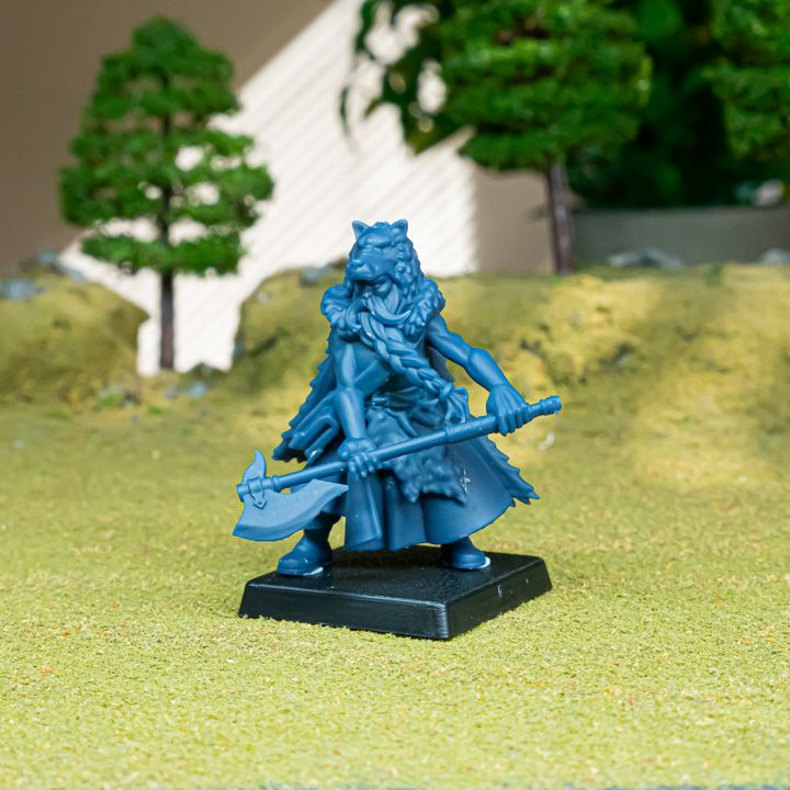 Miniatura Druida Mergenheim Imperio resina 28mm sin pintar - Drakholm