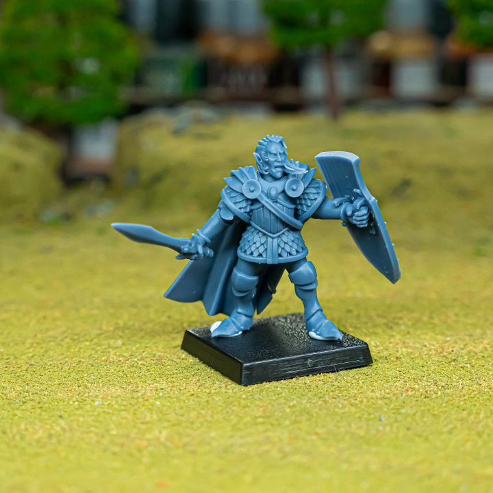 Miniatura Príncipe a Pie Altos Elfos resina 28mm sin pintar - Drakholm