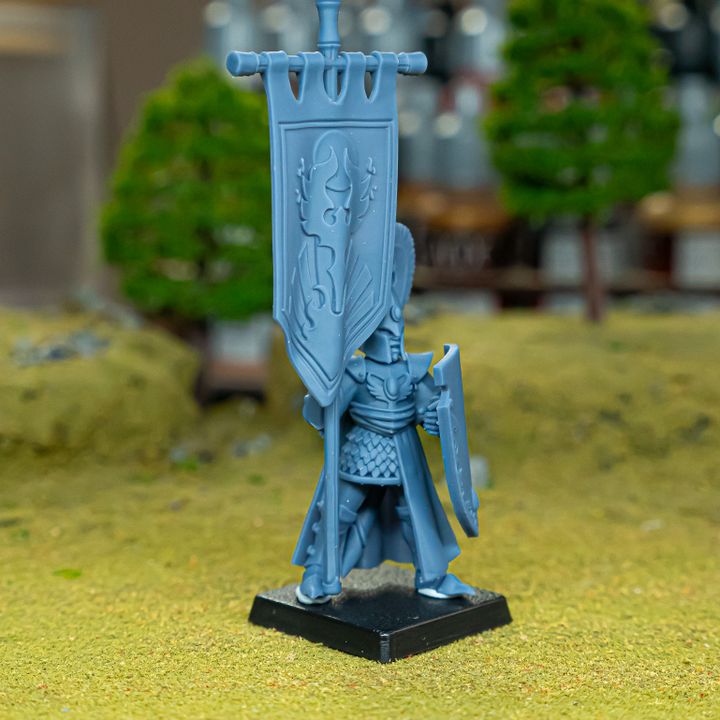 Miniatura Portaestandarte Altos Elfos resina 28mm sin pintar - Drakholm