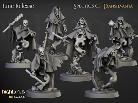 Miniatura Fantasmas de Cripta Condes Vampiro resina 28mm sin pintar - Drakholm