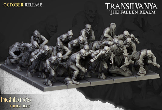 Miniatura Unidad de Necrófagos Condes Vampiro resina 28mm sin pintar - Drakholm