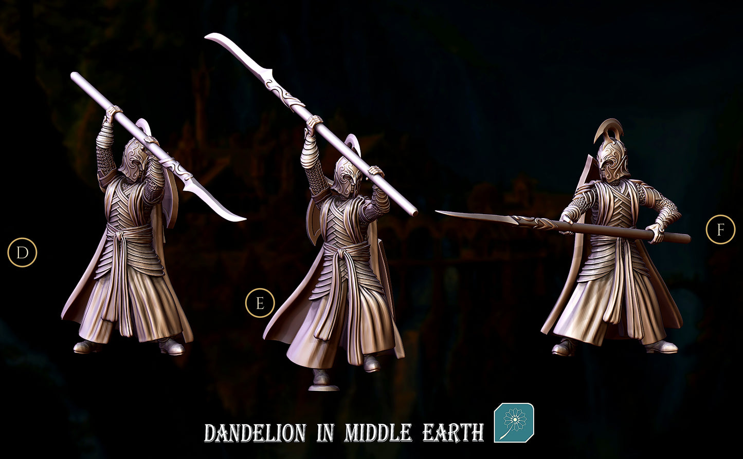 Miniatura Elfo de Rivendel (Lancero de Élite) Rivendel resina 32mm - Drakholm