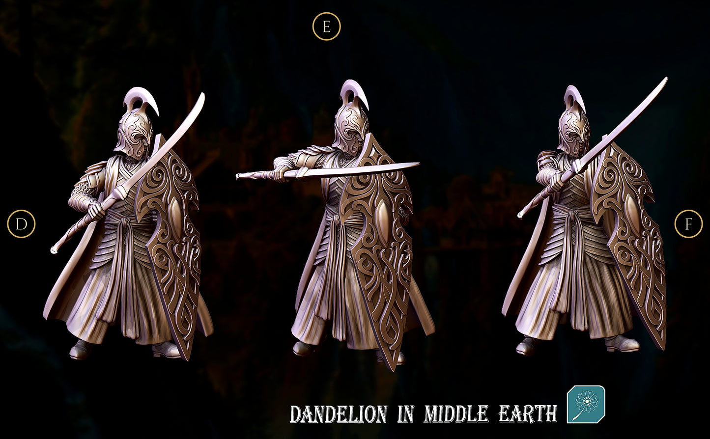 Miniatura Elfo de Rivendel (Guja con Escudo) Rivendel resina 32mm - Drakholm