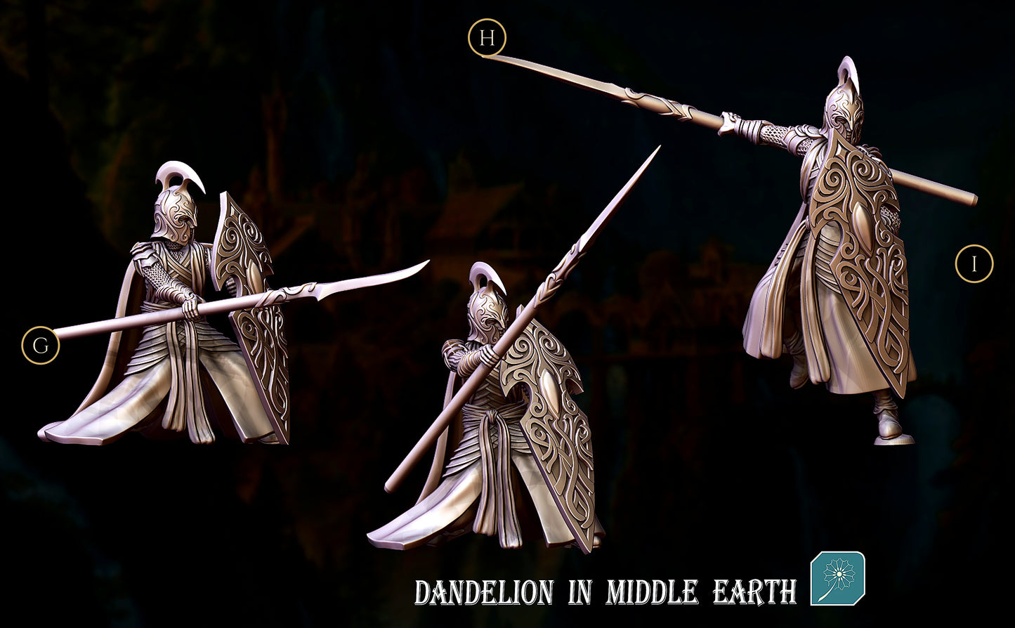 Miniatura Elfo de Rivendel (Lancero con Escudo) Rivendel resina 32mm - Drakholm