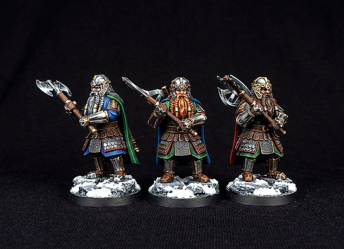 Enano de la Comunidad del Anillo · La Comunidad del Anillo · Miniatura 28mm · Drakholm
