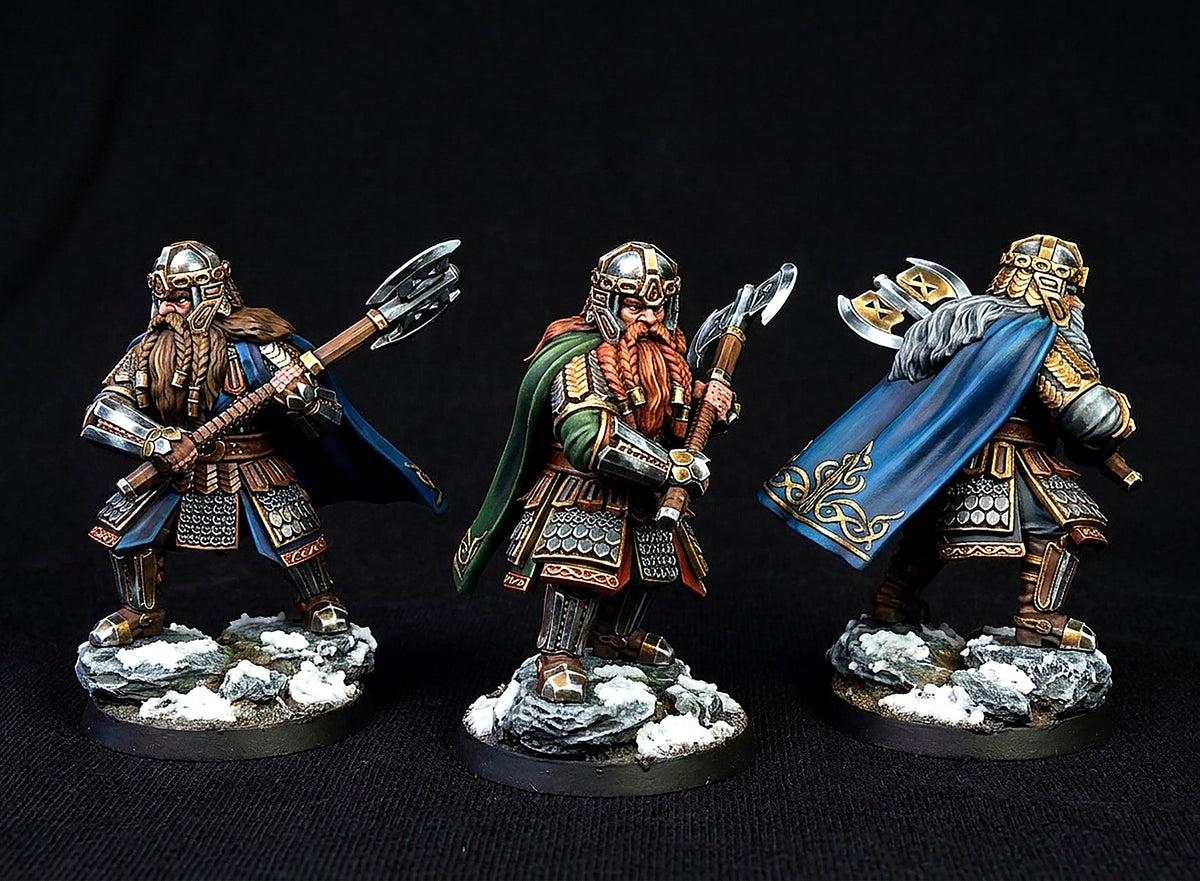 Enano de la Comunidad del Anillo · La Comunidad del Anillo · Miniatura 28mm · Drakholm