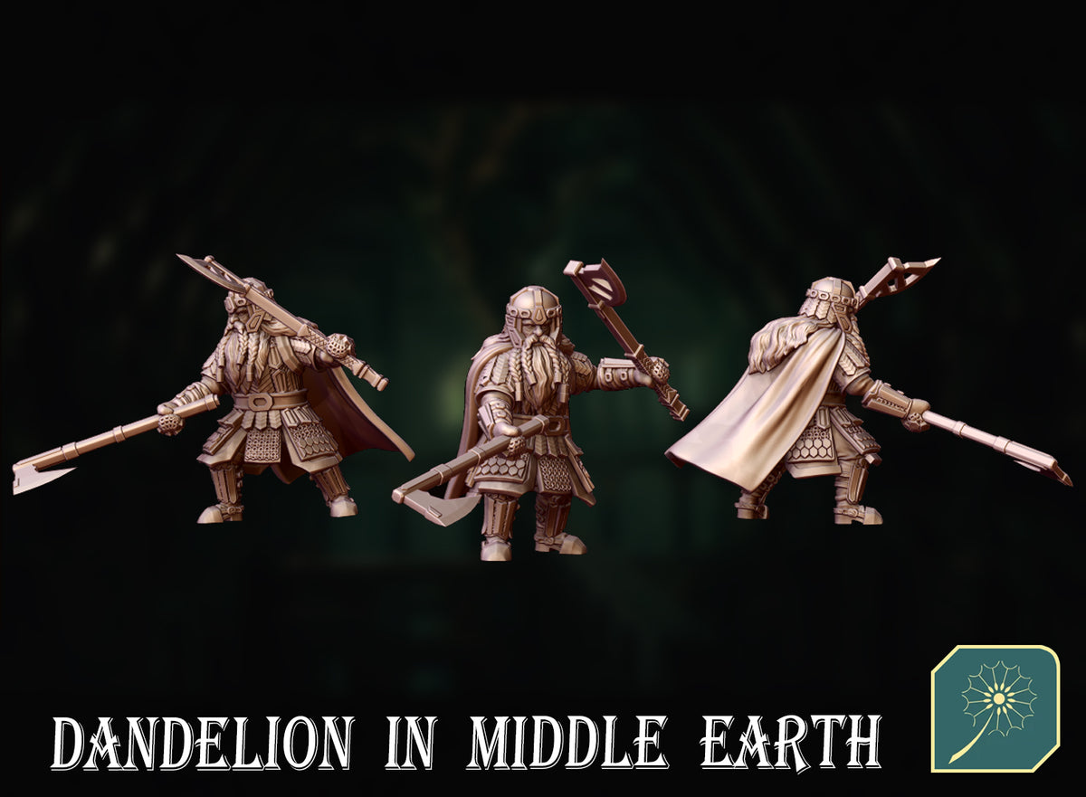 Enano de la Comunidad del Anillo · La Comunidad del Anillo · Miniatura 28mm · Drakholm