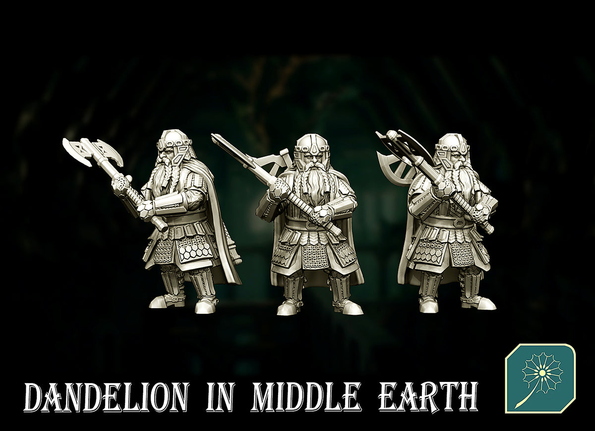 Enano de la Comunidad del Anillo · La Comunidad del Anillo · Miniatura 28mm · Drakholm