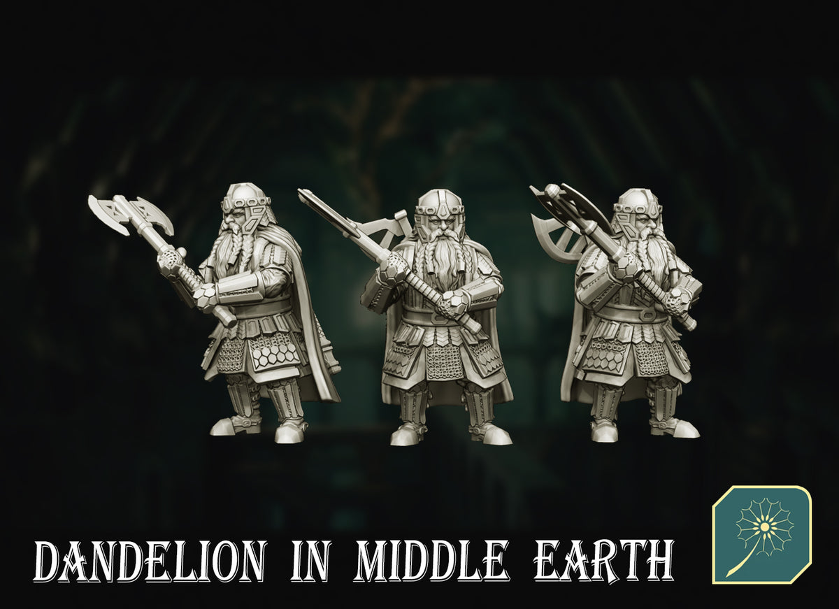 Enano de la Comunidad del Anillo · La Comunidad del Anillo · Miniatura 28mm · Drakholm