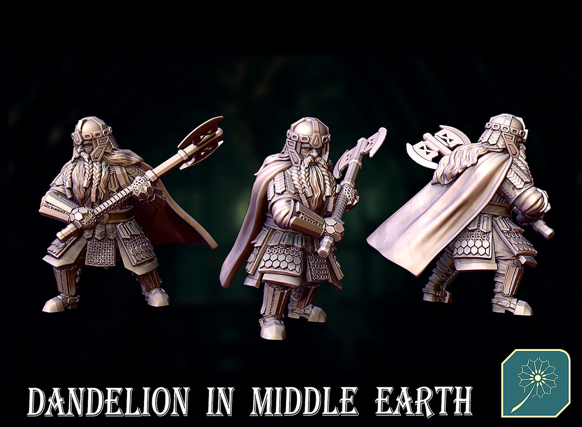 Enano de la Comunidad del Anillo · La Comunidad del Anillo · Miniatura 28mm · Drakholm