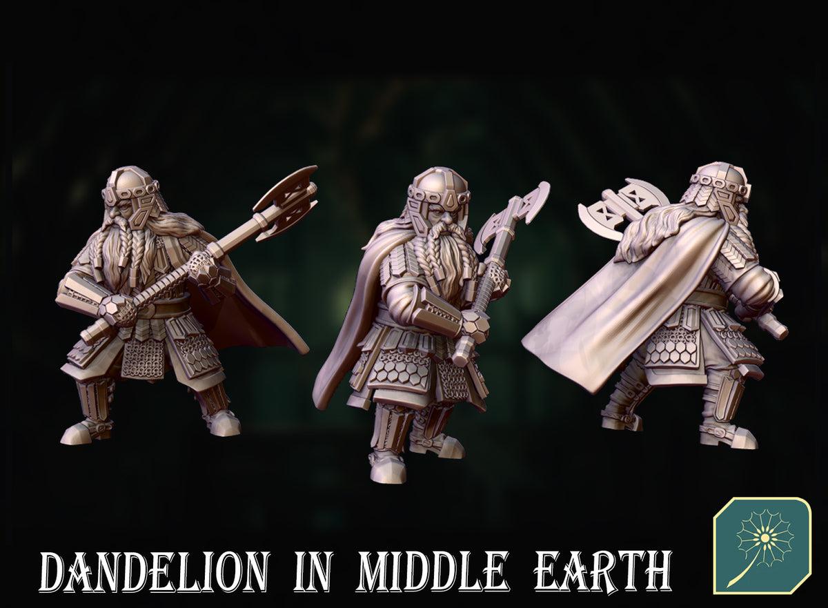 Enano de la Comunidad del Anillo · La Comunidad del Anillo · Miniatura 28mm · Drakholm