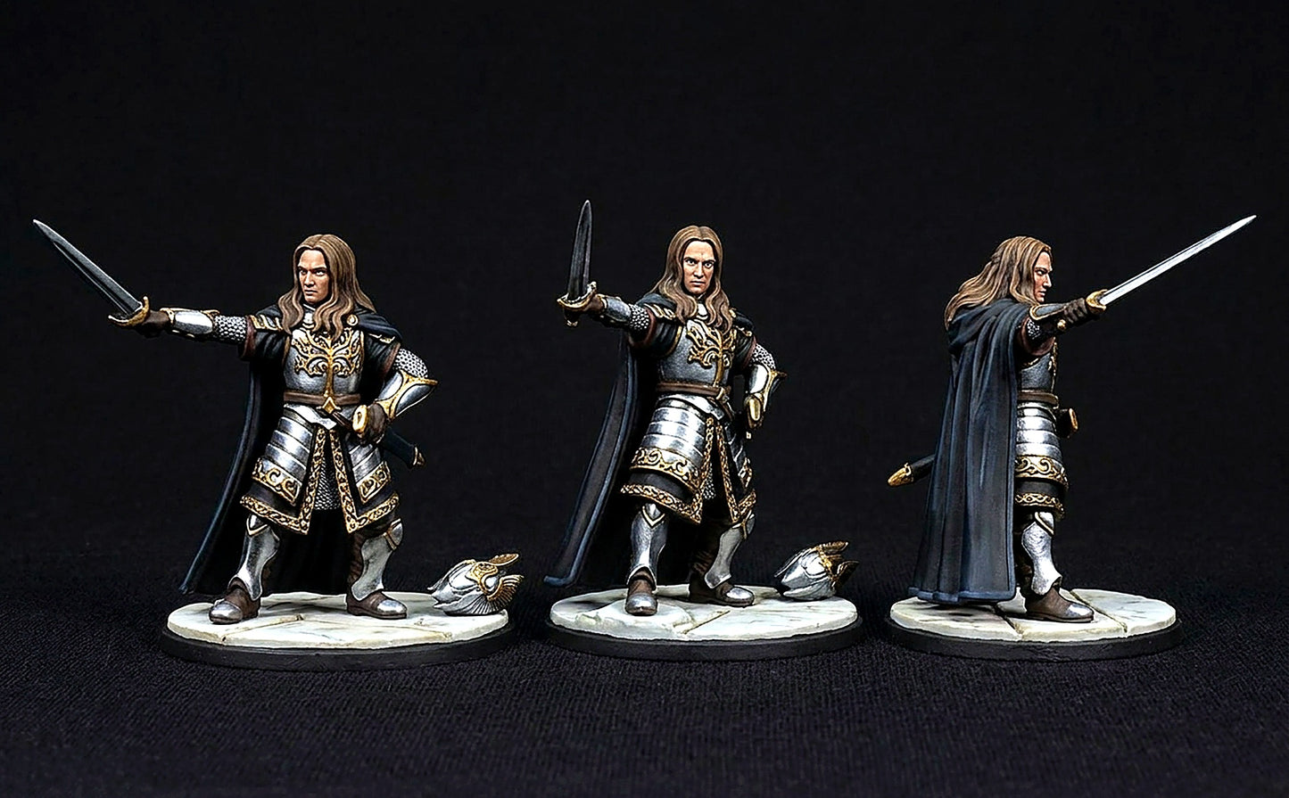 Miniatura Capitán de la Guardia de la Ciudadela y la Compañía Blanca de Gondor Gondor resina 32mm - Drakholm