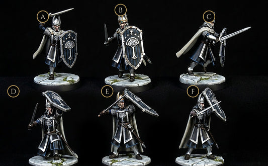 Miniatura Espadachín de Númenor Númenor resina 32mm - Drakholm